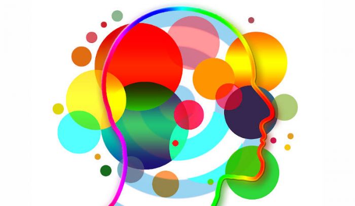 El problema de no entender