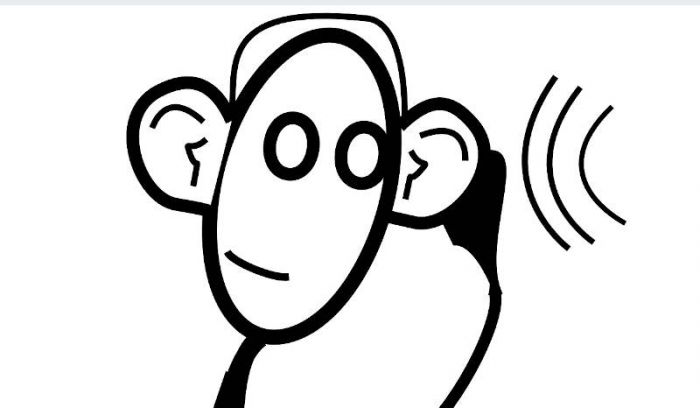 Pérdida severa de audición