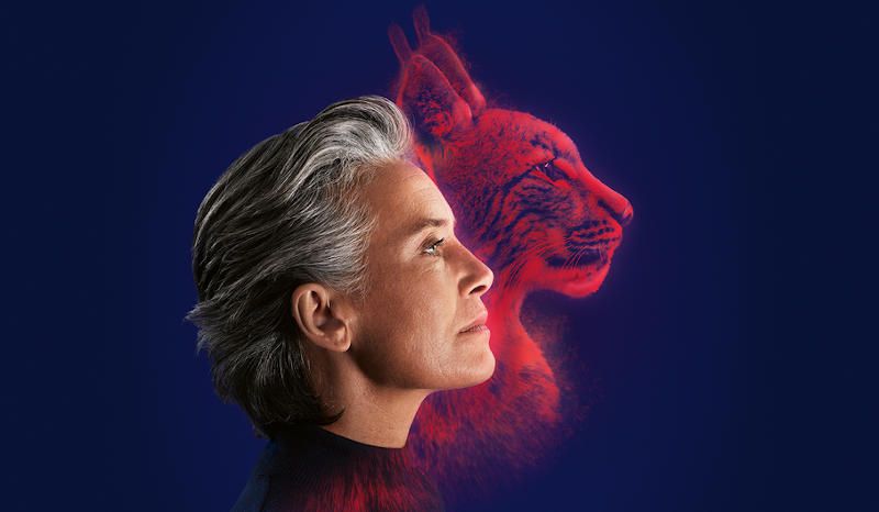 Audífonos Alpha en Centre Auditiu de Sitges